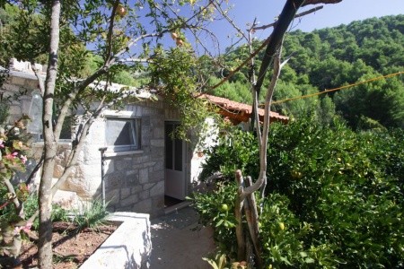 Chorvátsko Hvar Robinzonáda Ficus 8 dňový pobyt Bez stravy Vlastná August 2026 (15/08/26-22/08/26)