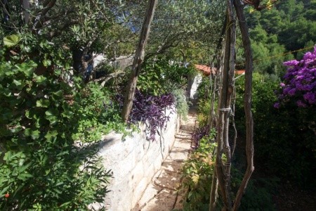 Chorvátsko Hvar Robinzonáda Ficus 8 dňový pobyt Bez stravy Vlastná August 2026 (15/08/26-22/08/26)