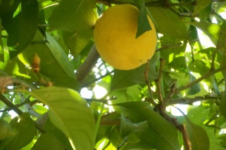 Apartmány Pohoda - 6