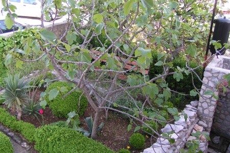 Apartmány 3298-2671 - 4