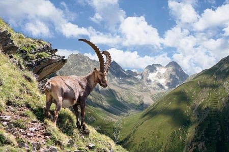 Údolí Pitztal a Kaunertal - alpské pokladnice pro seniory - 14