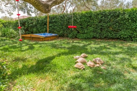 Apartmány 1355-3441 - 8