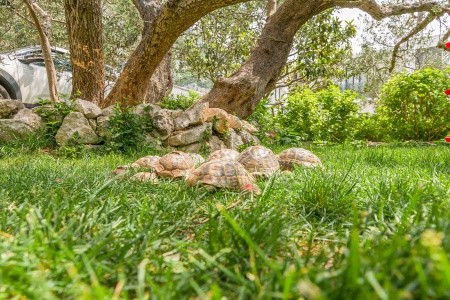 Apartmány 1355-3441 - 9