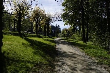 Ld Orlík (Kynžvart) - 16