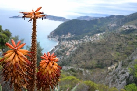 Velikonoce na francouzské riviéře s návštěvou Monaca - 5