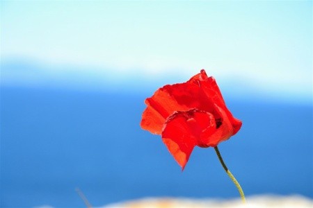 Velikonoce na francouzské riviéře s návštěvou Monaca - 15