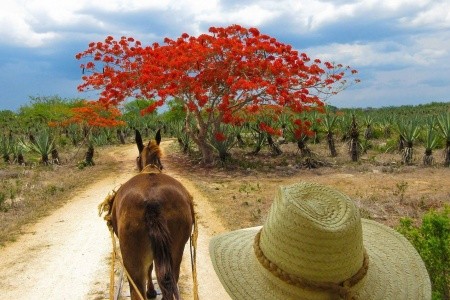 Tajemství Mayů a kouzlo Yucatánu - 9