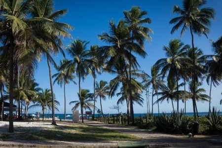 Bahia Plaza Resort - 9