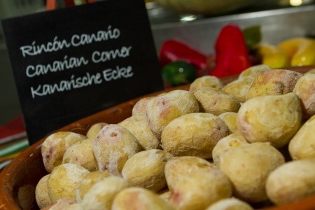 Checkin Concordia Playa - 22