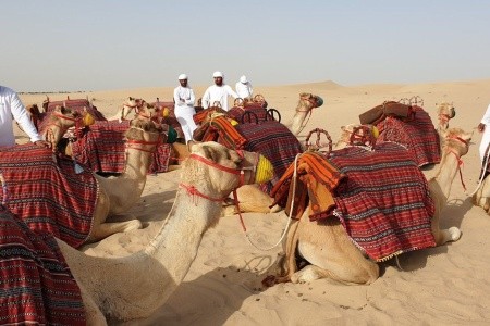 Za koupáním a poznáním SAE - 8