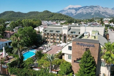 Iron Ambassador Plaza - 6