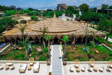 Dream Water World - 12