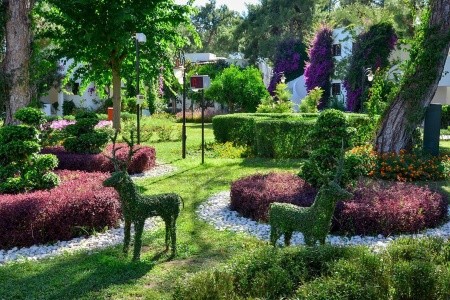 Emelda Sun Club - 20