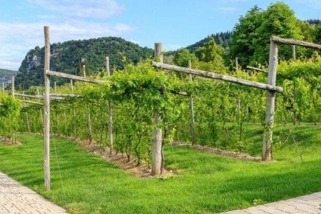 Parc Hotel Germano - 10