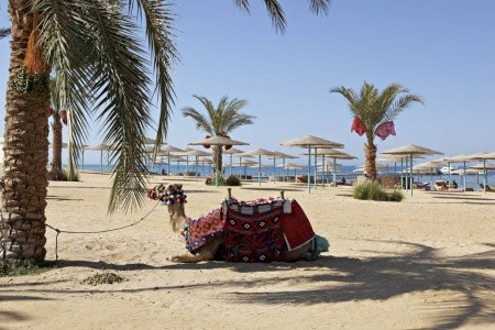 The Three Corners Sunny Beach Resort - 9