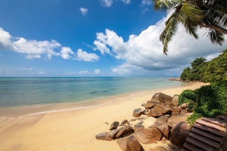 Coco De Mer & The Black Parrot Suites - 13