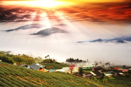 Peking - Taiwan - 12