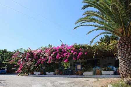 Studia Blue Swan - 13