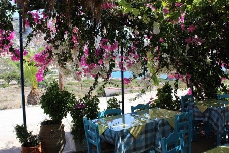 Studia Blue Swan - 16