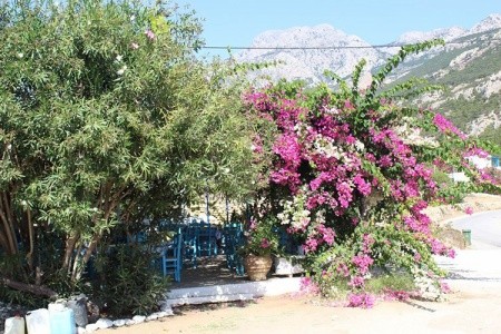 Studia Blue Swan - 18