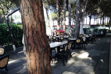 Pineta Sul Mare Camping Village - 10