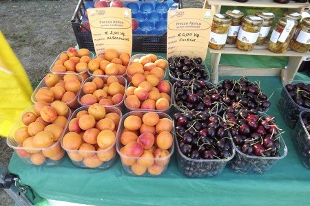 Pineta Sul Mare Camping Village - 13