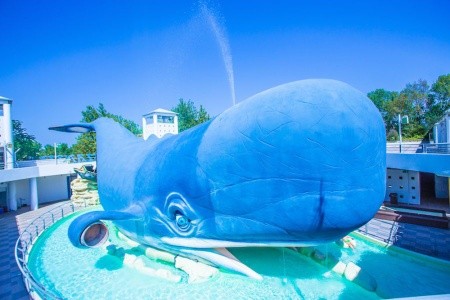 Pineta Sul Mare Camping Village - 23