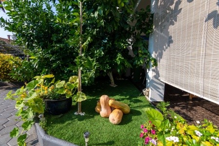 Apartmány 3298-384 - 64