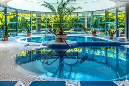 Maďarsko Severné Maďarsko Thermal Hotel Visegrád 5 dňový pobyt Polpenzia Vlastná January 2026 (13/01/26-17/01/26)