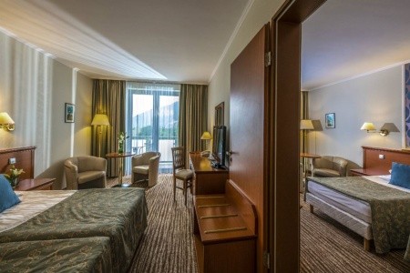 Maďarsko Severné Maďarsko Thermal Hotel Visegrád 5 dňový pobyt Polpenzia Vlastná January 2026 (13/01/26-17/01/26)