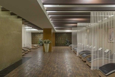 Royal Alhambra Palace - 25