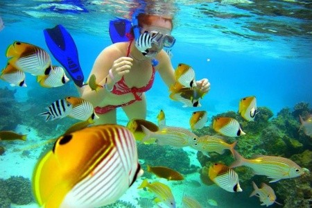 The Rarotongan Beach Resort & Spa - 7