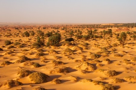 Putování pouští a oázami Alžírska - 3