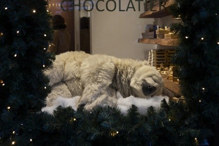 5-dňový silvestrovský zájazd do Amsterdamu - 7