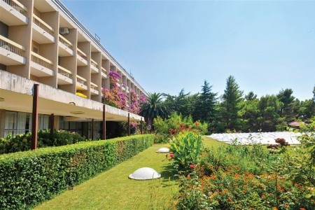 Alemaris (Ex. Alem) - 3