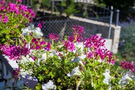 Apartmány 3298-2900 - 23