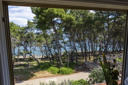 Apartmány 3298-1982 - 13