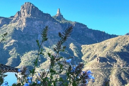 Relaxia Beverly Park - 5