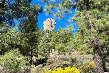 Relaxia Beverly Park - 7