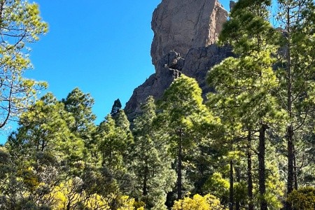 Relaxia Beverly Park - 9