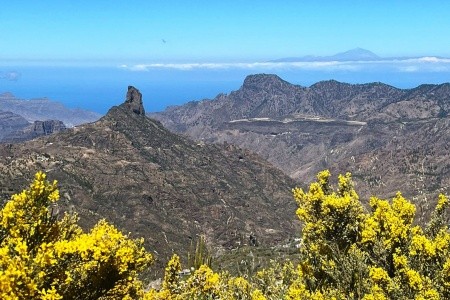 Relaxia Beverly Park - 10