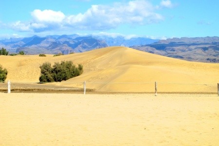 Relaxia Beverly Park - 12