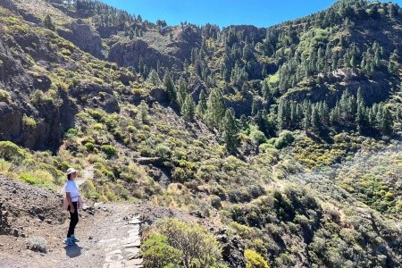 Relaxia Beverly Park - 18