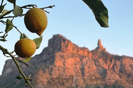 Relaxia Beverly Park - 20