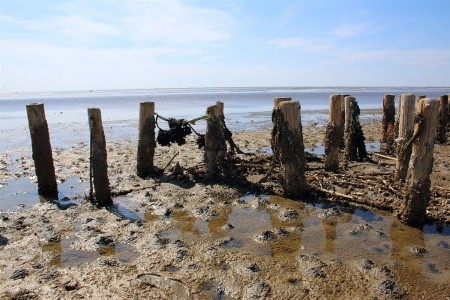 Za legendami severu - to nejlepší z Dánska s výletem do Malmö - 12