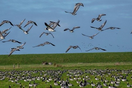 Za legendami severu - to nejlepší z Dánska s výletem do Malmö - 13