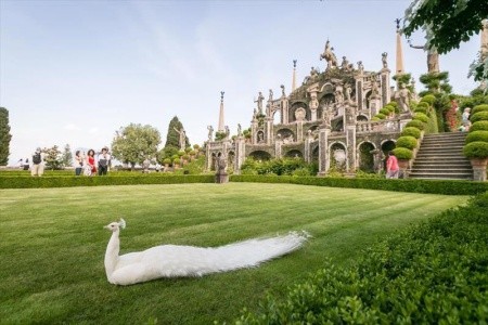 Milan Speranza (Stresa) - 9