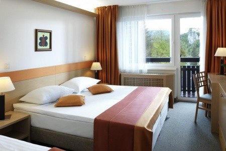Garni Savica Sava & Resorts (Bled) - 7