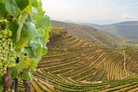 Prodloužený víkend v Portu - 1