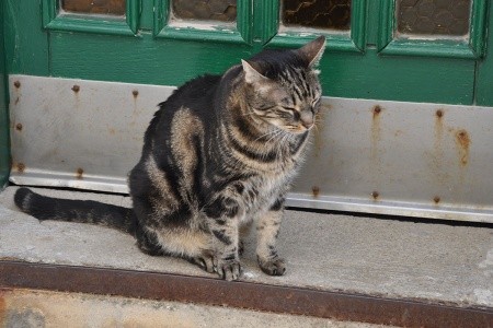 Little Princess House - 12